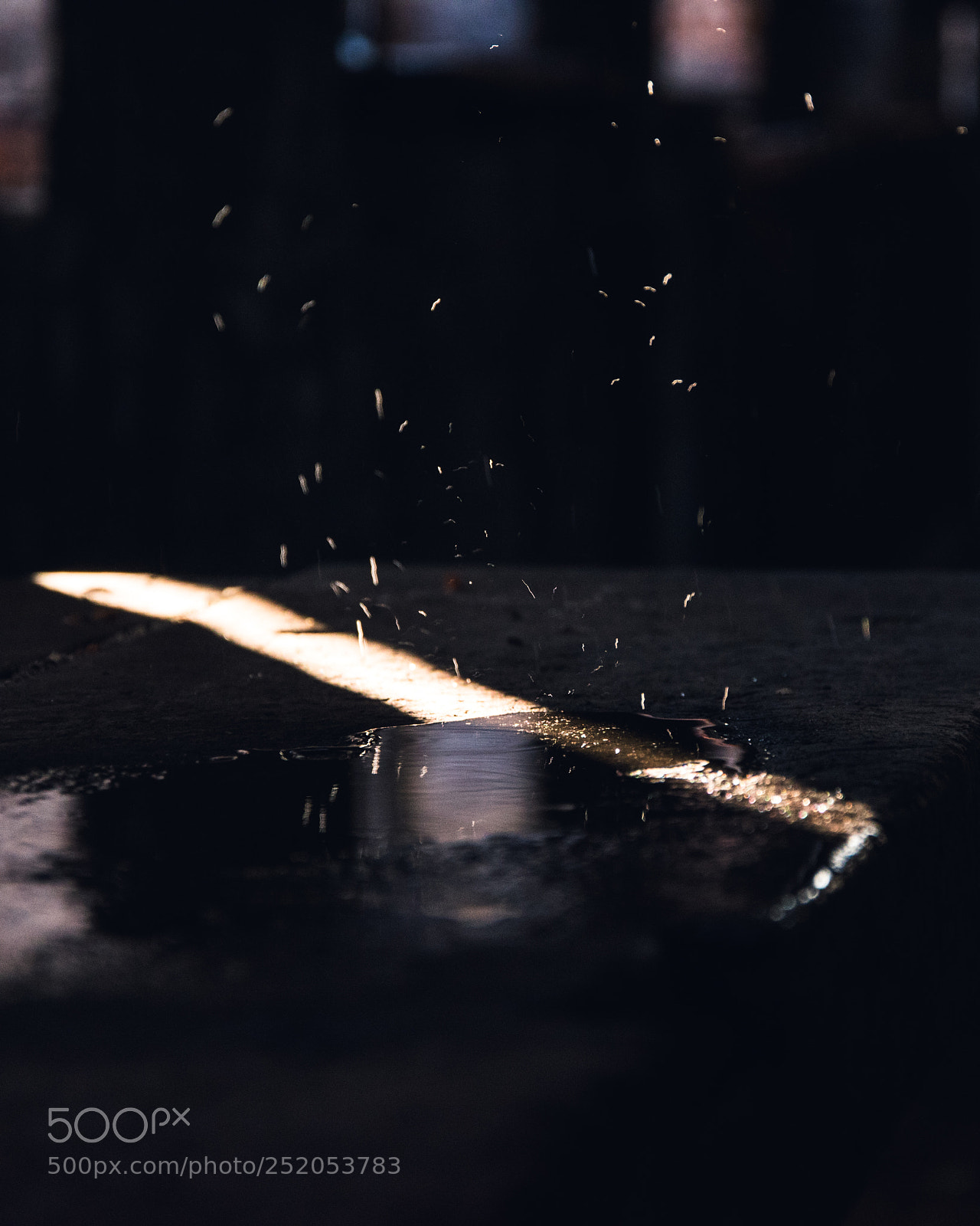 Nikon D5600 sample photo. Drip photography