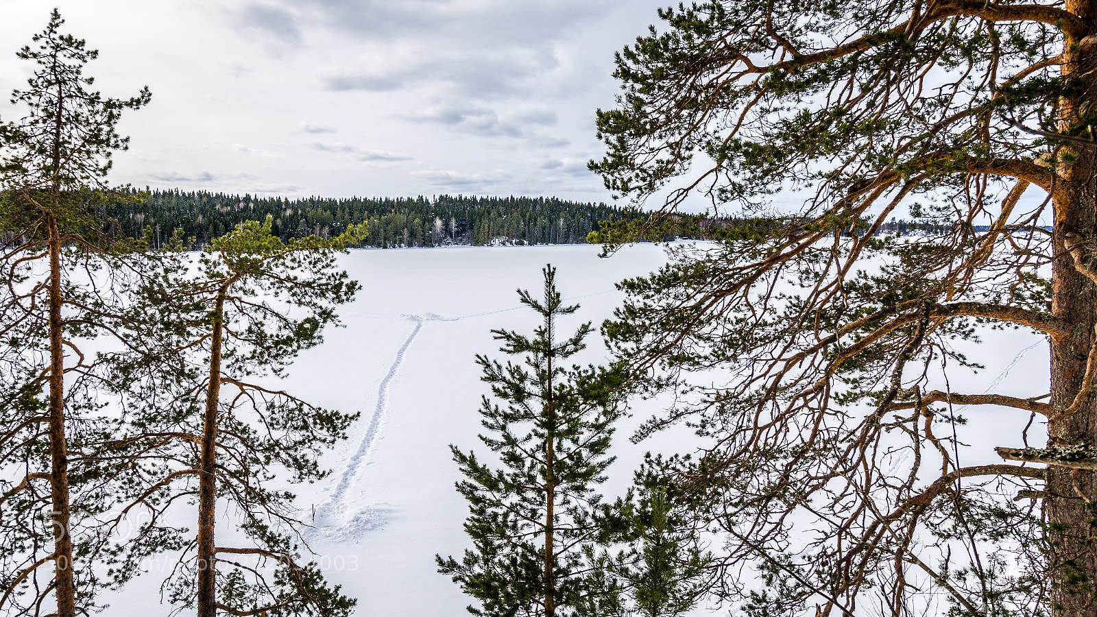 Nikon D7200 sample photo. Winterfishing photography