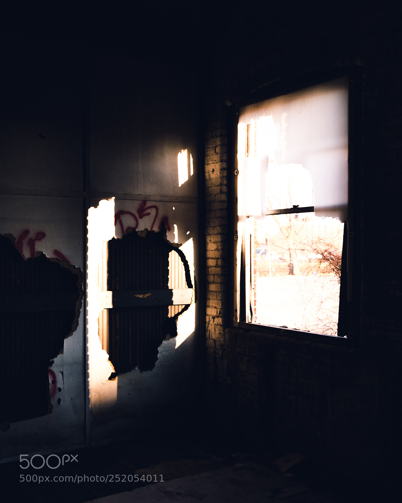 Nikon D5600 sample photo. Harsh light photography
