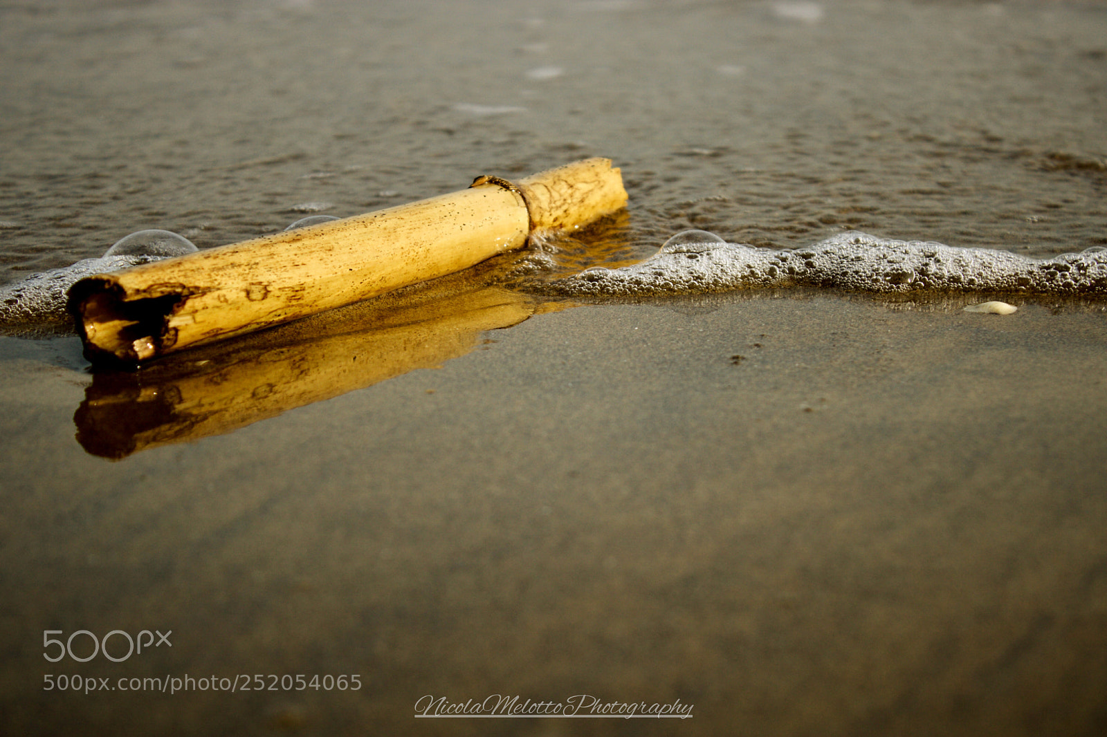 Canon EOS 760D (EOS Rebel T6s / EOS 8000D) sample photo. Alone photography