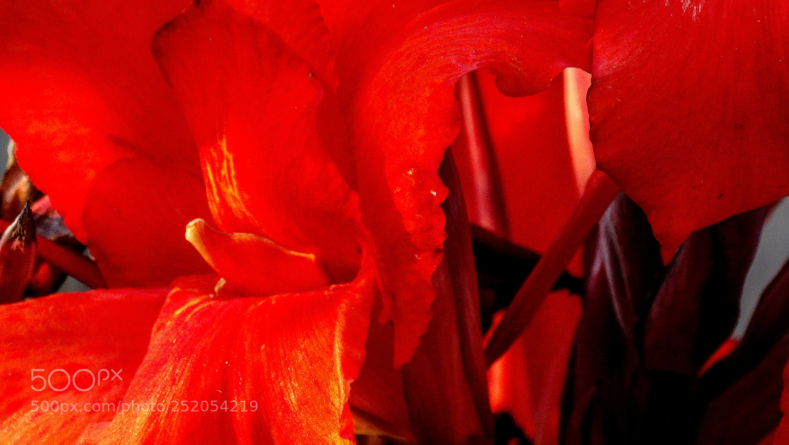 Sony Cyber-shot DSC-HX300 sample photo. Fire in my garden!! photography
