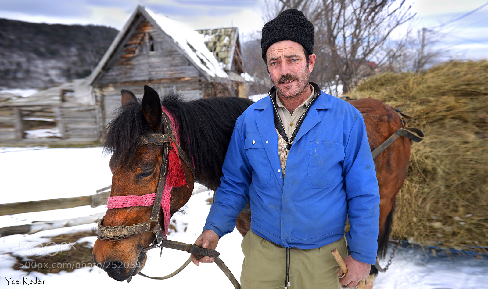 Nikon D800 sample photo. Farmer in bucegi photography