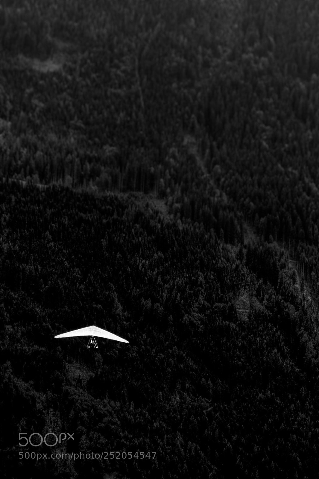 Canon EOS 70D sample photo. Fly away... photography