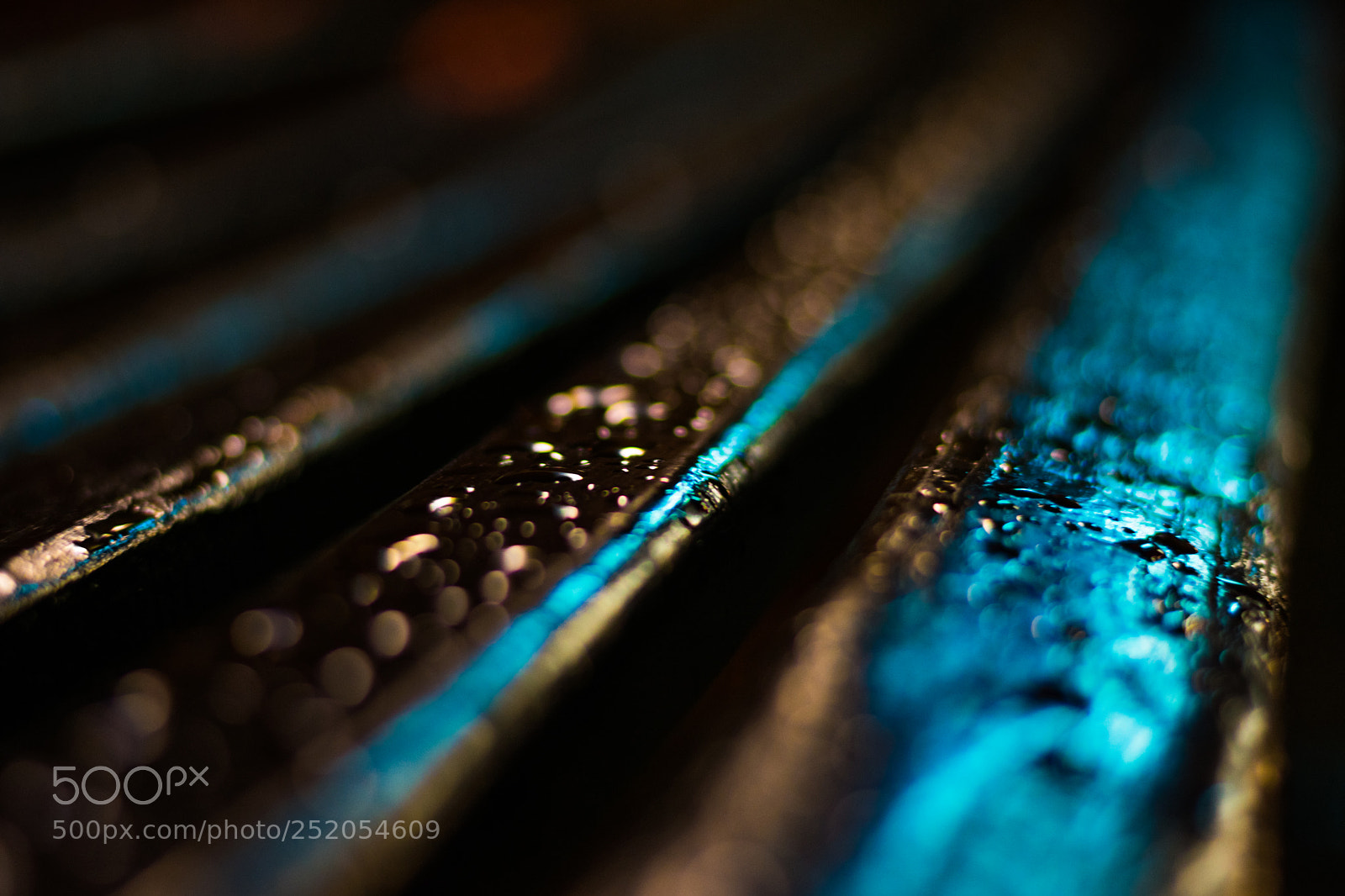 Nikon D3400 sample photo. Wet bench photography