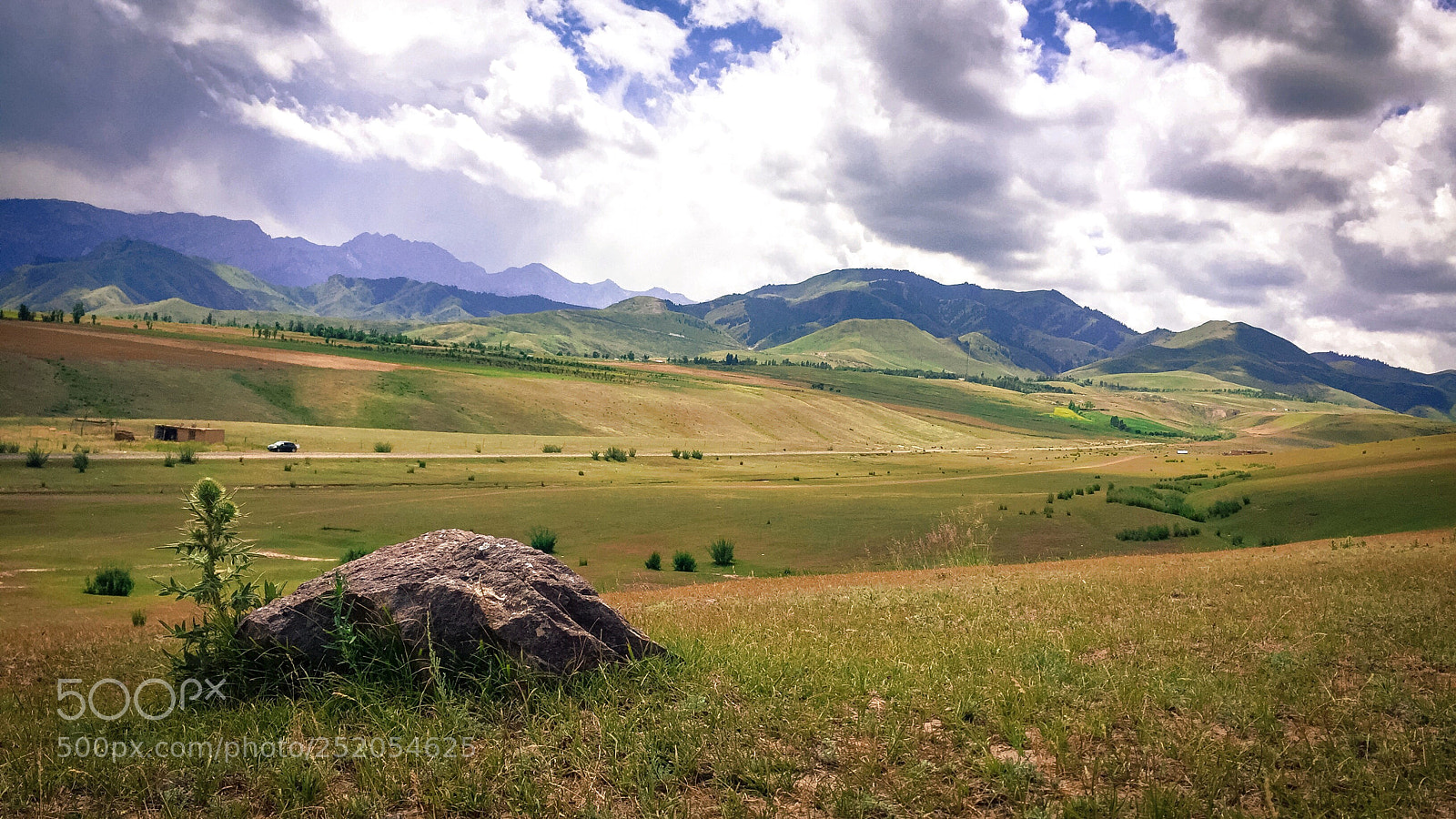 Apple iPhone 6 sample photo. Grasslands photography