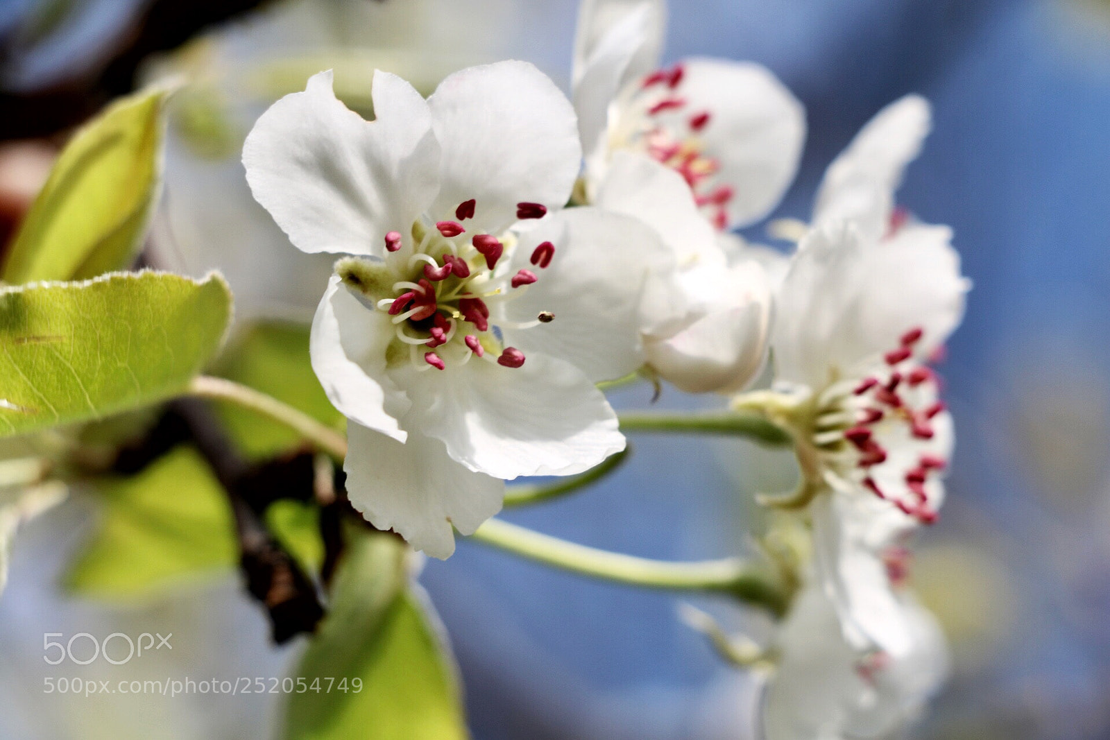 Canon EOS 750D (EOS Rebel T6i / EOS Kiss X8i) sample photo. Untitled photography