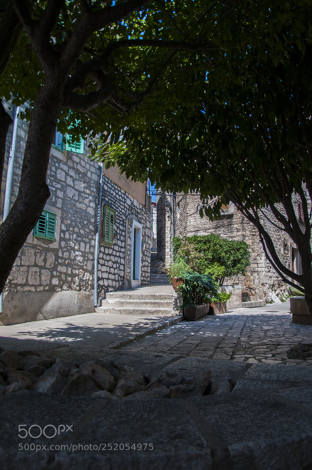 Nikon D300 sample photo. Shade photography