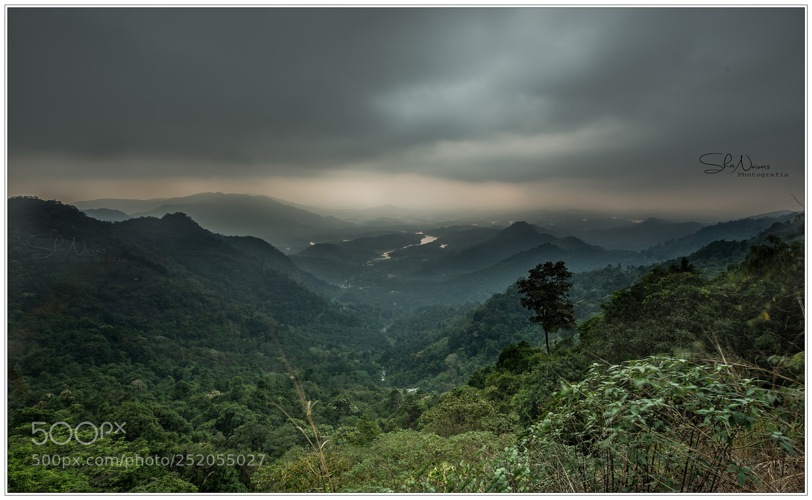 Nikon D810 sample photo. Before the rain, photography