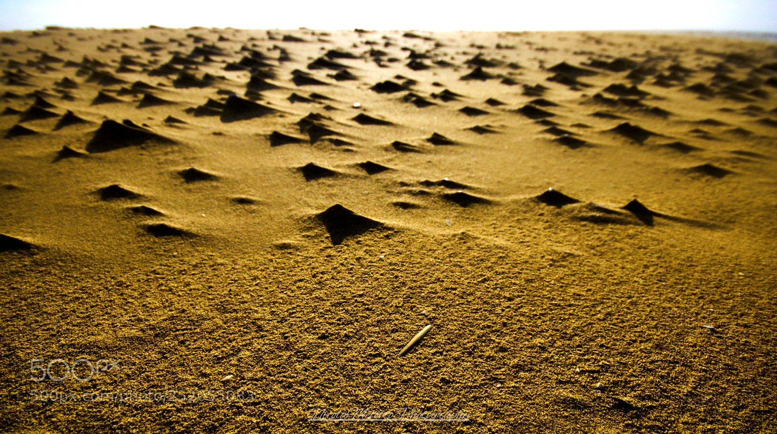 Canon EOS 760D (EOS Rebel T6s / EOS 8000D) sample photo. Sand and wind ... photography