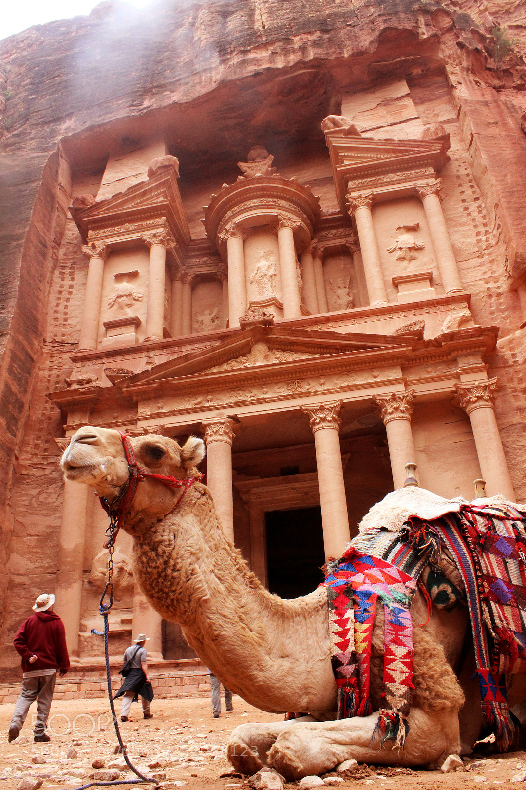 Canon EOS 600D (Rebel EOS T3i / EOS Kiss X5) sample photo. The treasury & the camel photography