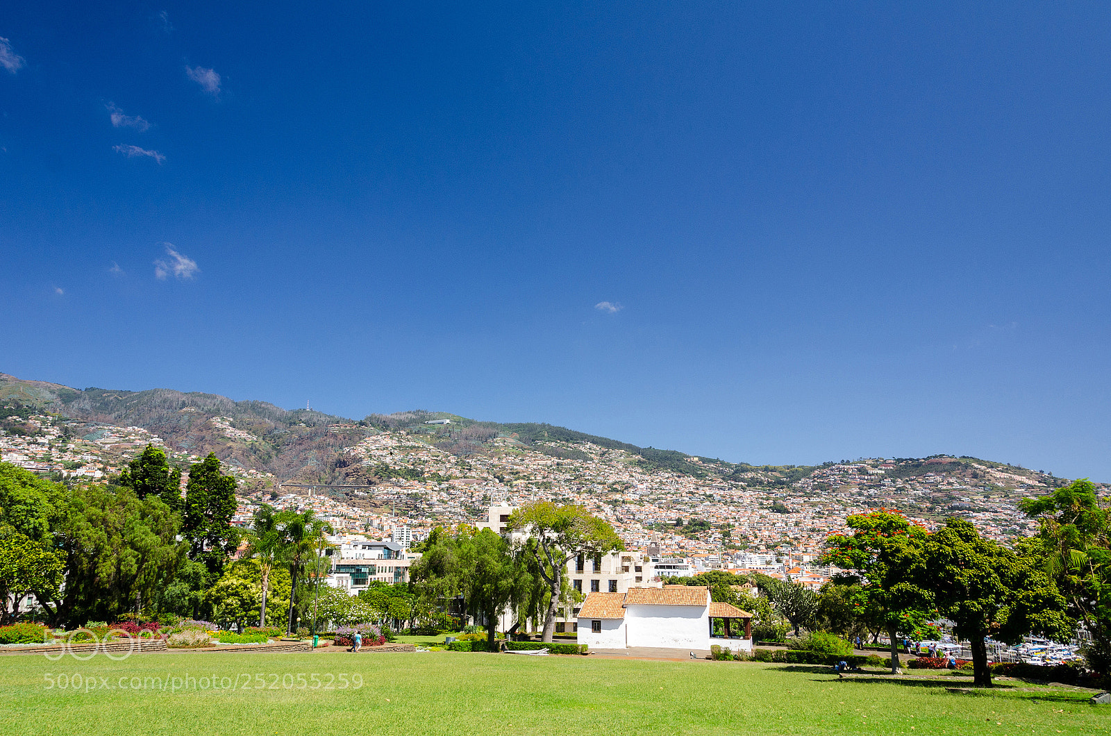 Nikon D7000 sample photo. Santa catarina park photography