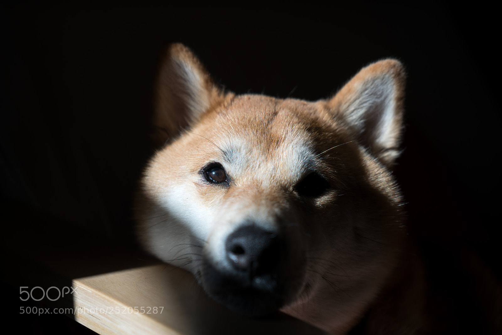Sony a7R II sample photo. Akira photography