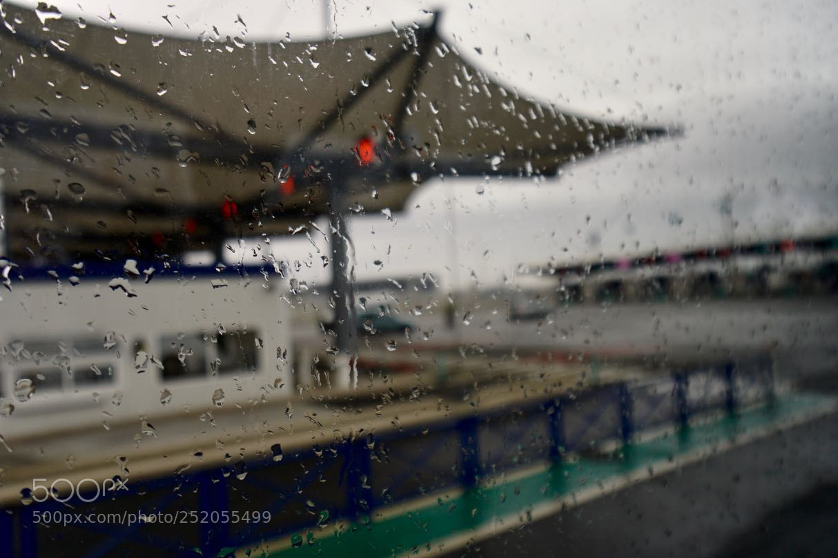Sony a6500 sample photo. Waiting in the rain photography