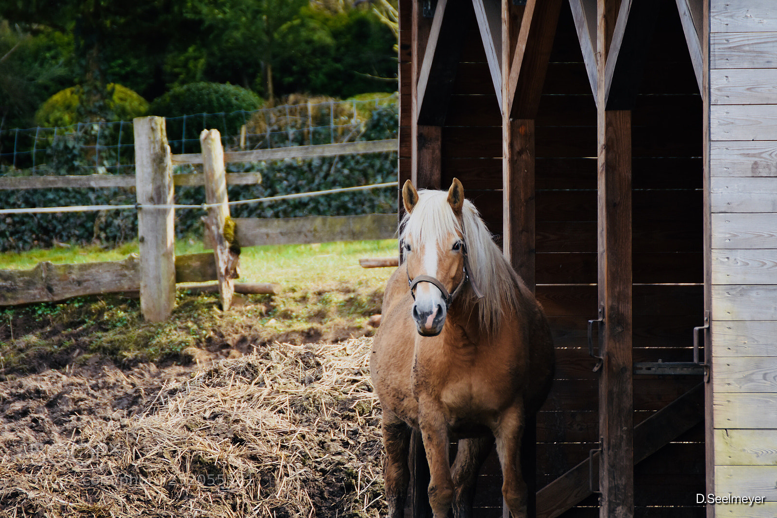 Nikon D3400 sample photo. Untitled photography