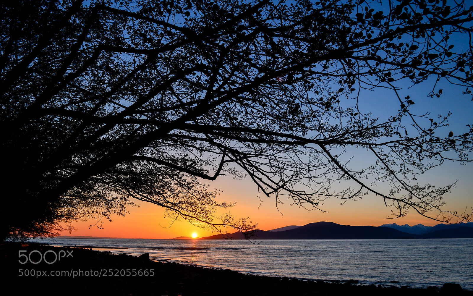 Nikon D800 sample photo. West coast photography
