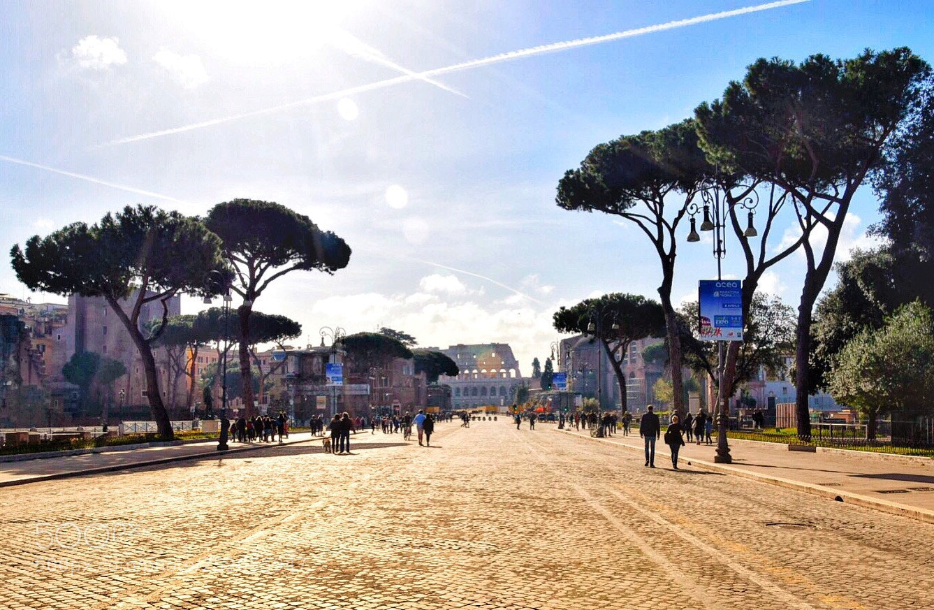 Nikon D5300 sample photo. Rome photography