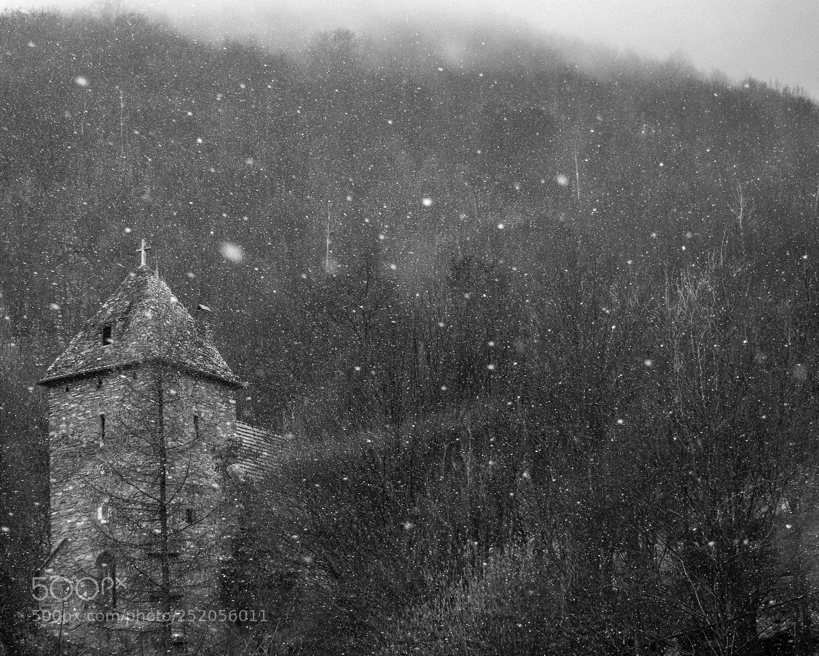 Nikon D3300 sample photo. Winter photography