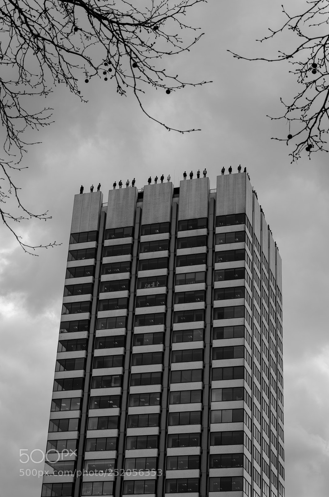 Nikon D5100 sample photo. Untitled photography