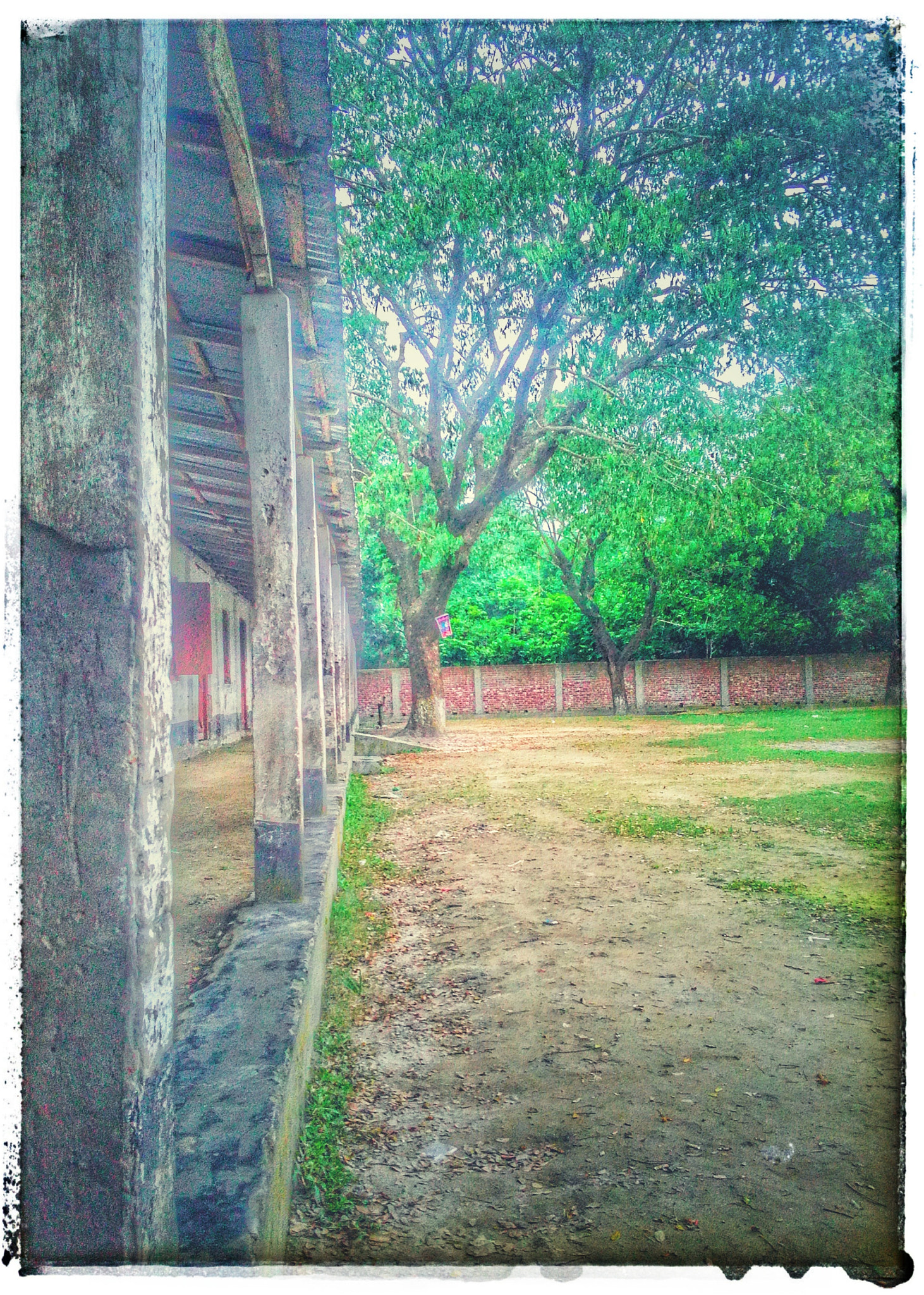 HUAWEI Y541-U02 sample photo. School room...! photography