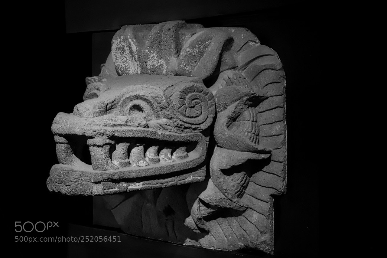 Canon EOS 6D Mark II sample photo. Feathered serpent photography