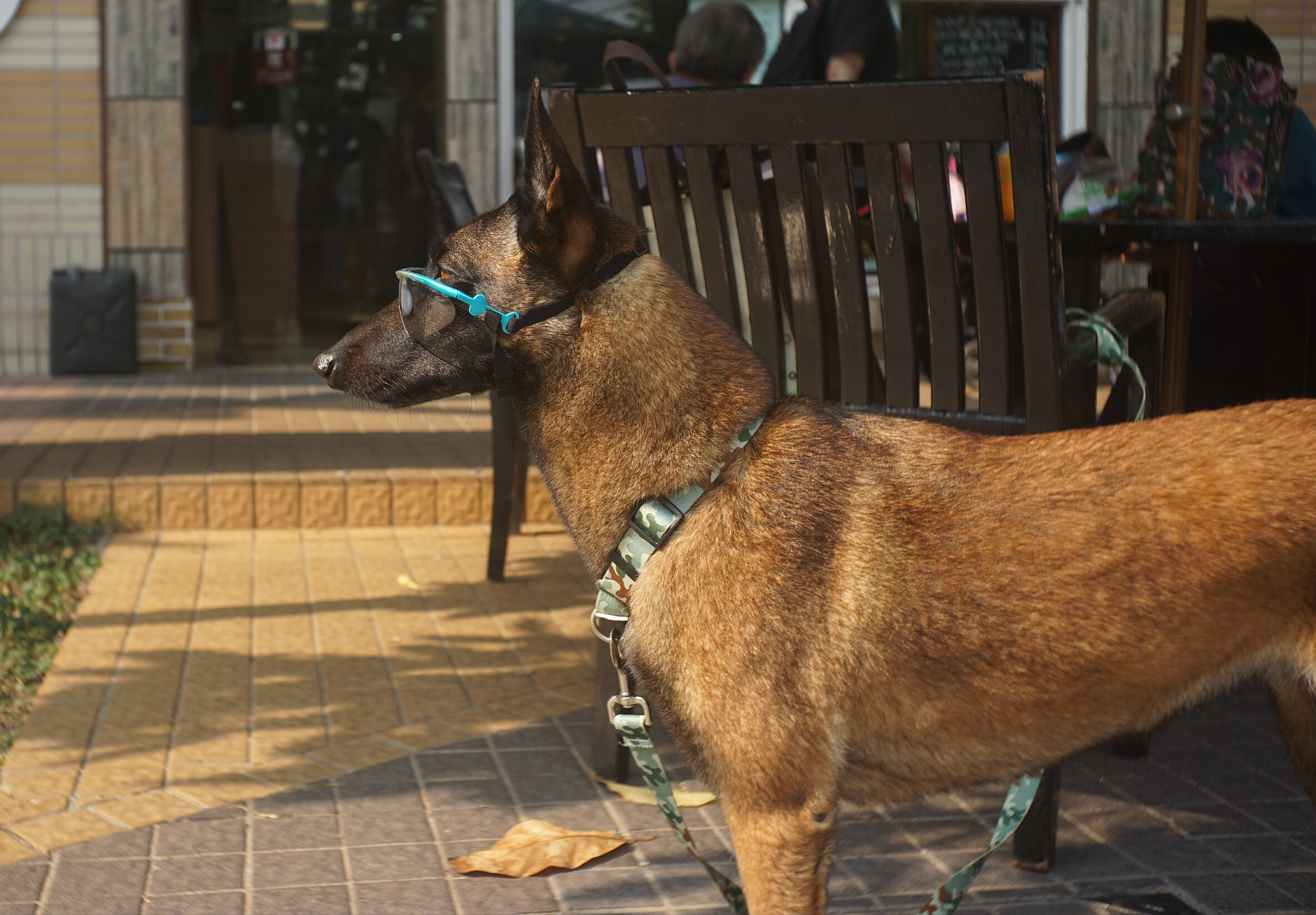Sony a7 II + Canon EF 40mm F2.8 STM sample photo