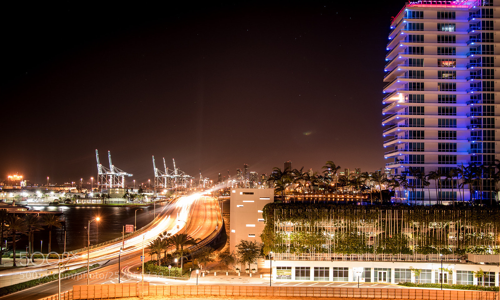 Nikon D5600 sample photo. City lights photography