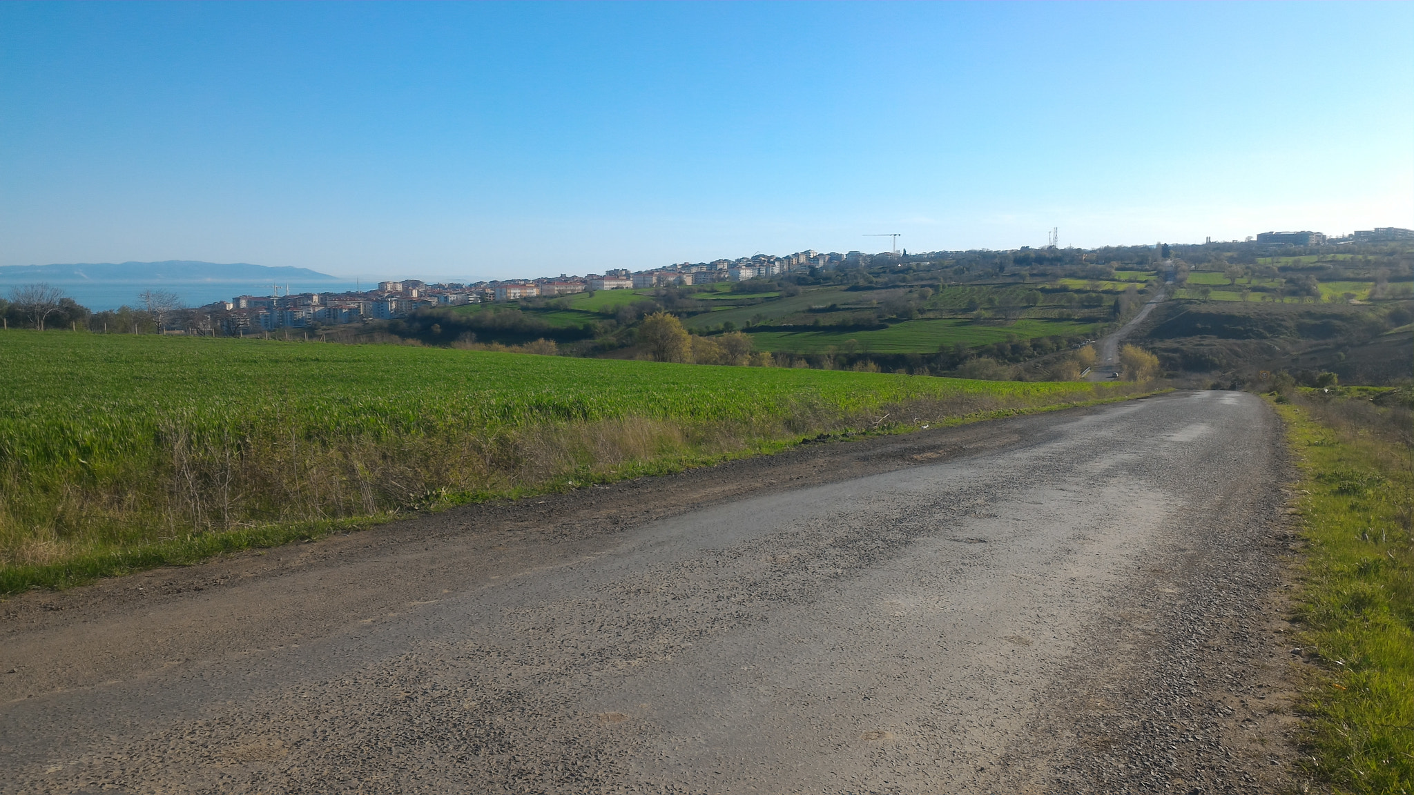 ASUS ZenFone 2 (ZE551ML) sample photo