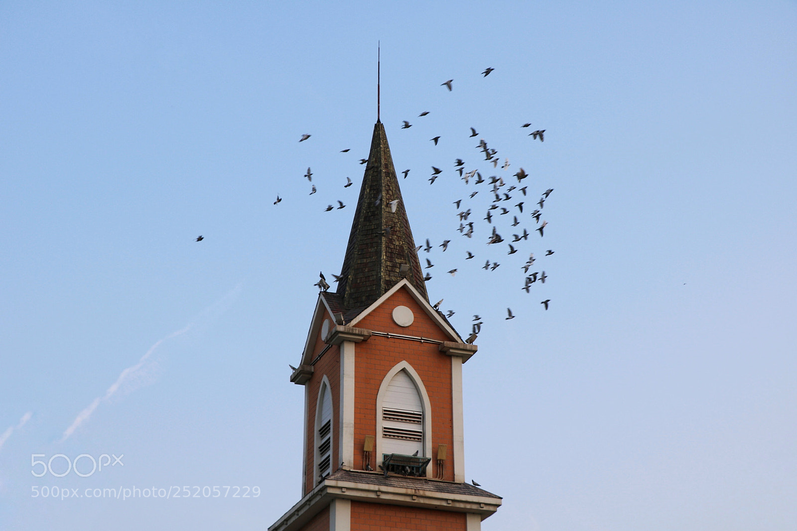 Canon EOS 760D (EOS Rebel T6s / EOS 8000D) sample photo. Untitled photography