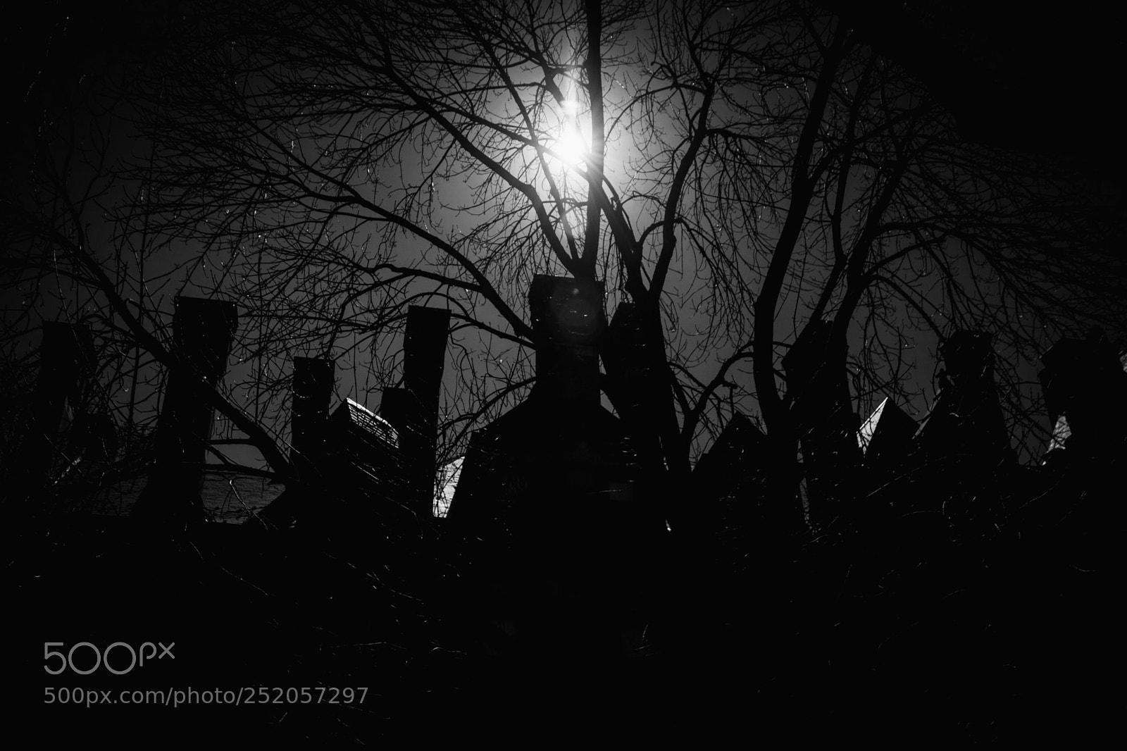 Nikon D7200 sample photo. Apparitions photography