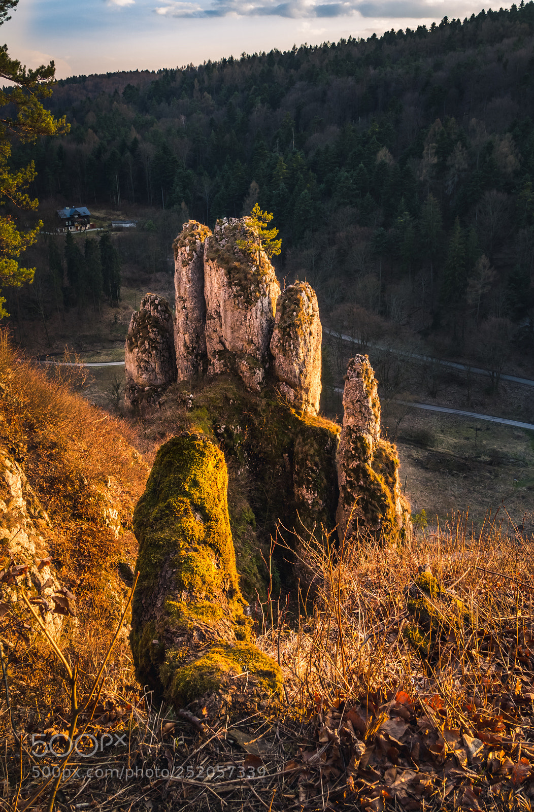 Olympus PEN E-PL6 sample photo. Crown rocks,ojcow national park photography