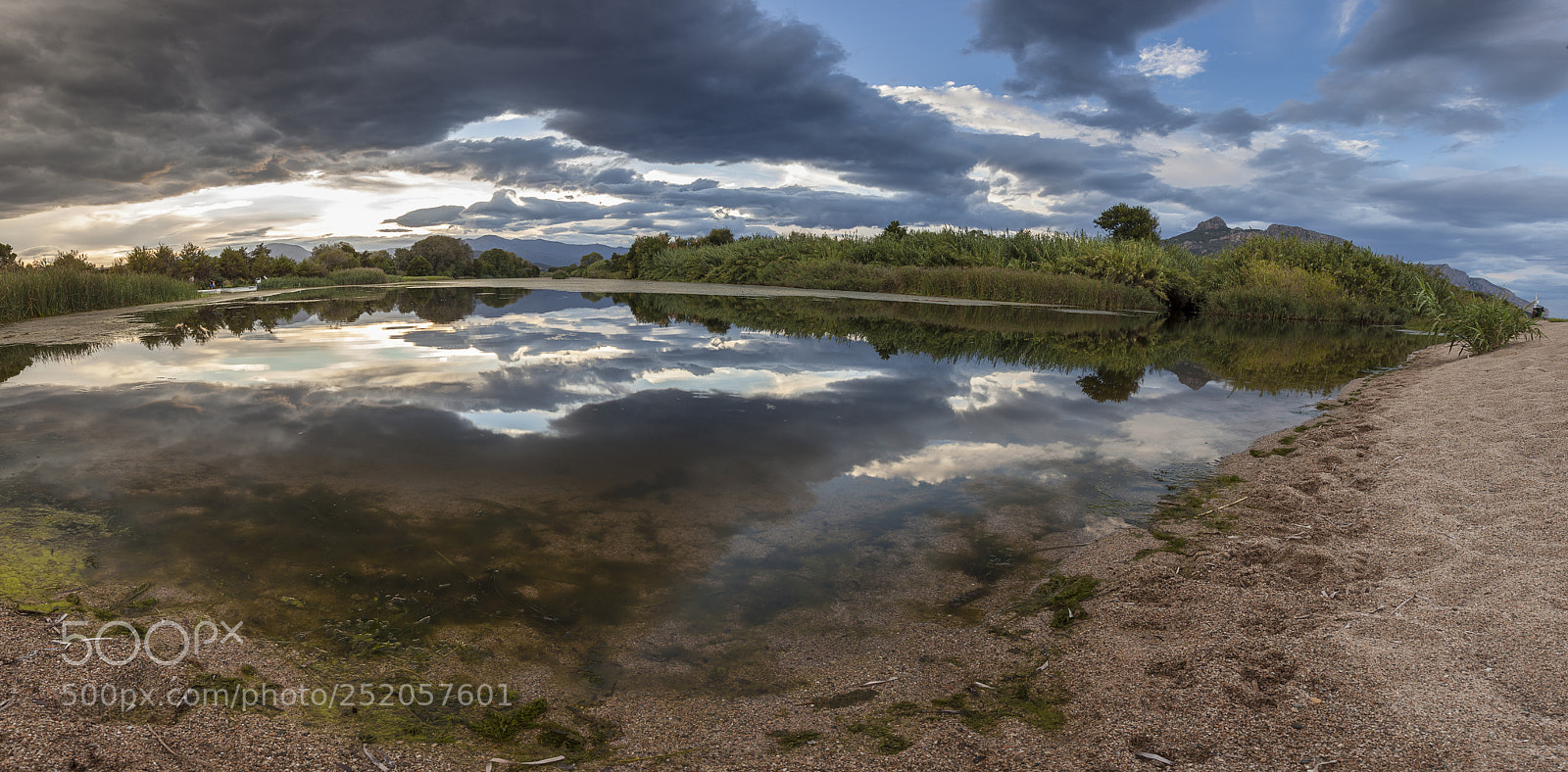Canon EOS 5D Mark II sample photo. Overview of the pond photography