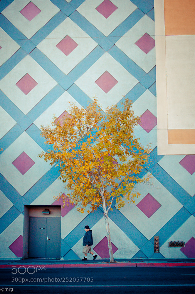 Nikon D90 sample photo. Walking downtown photography