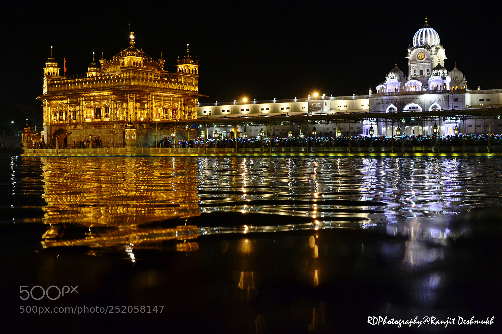 Nikon D3100 sample photo. Golden worship! photography