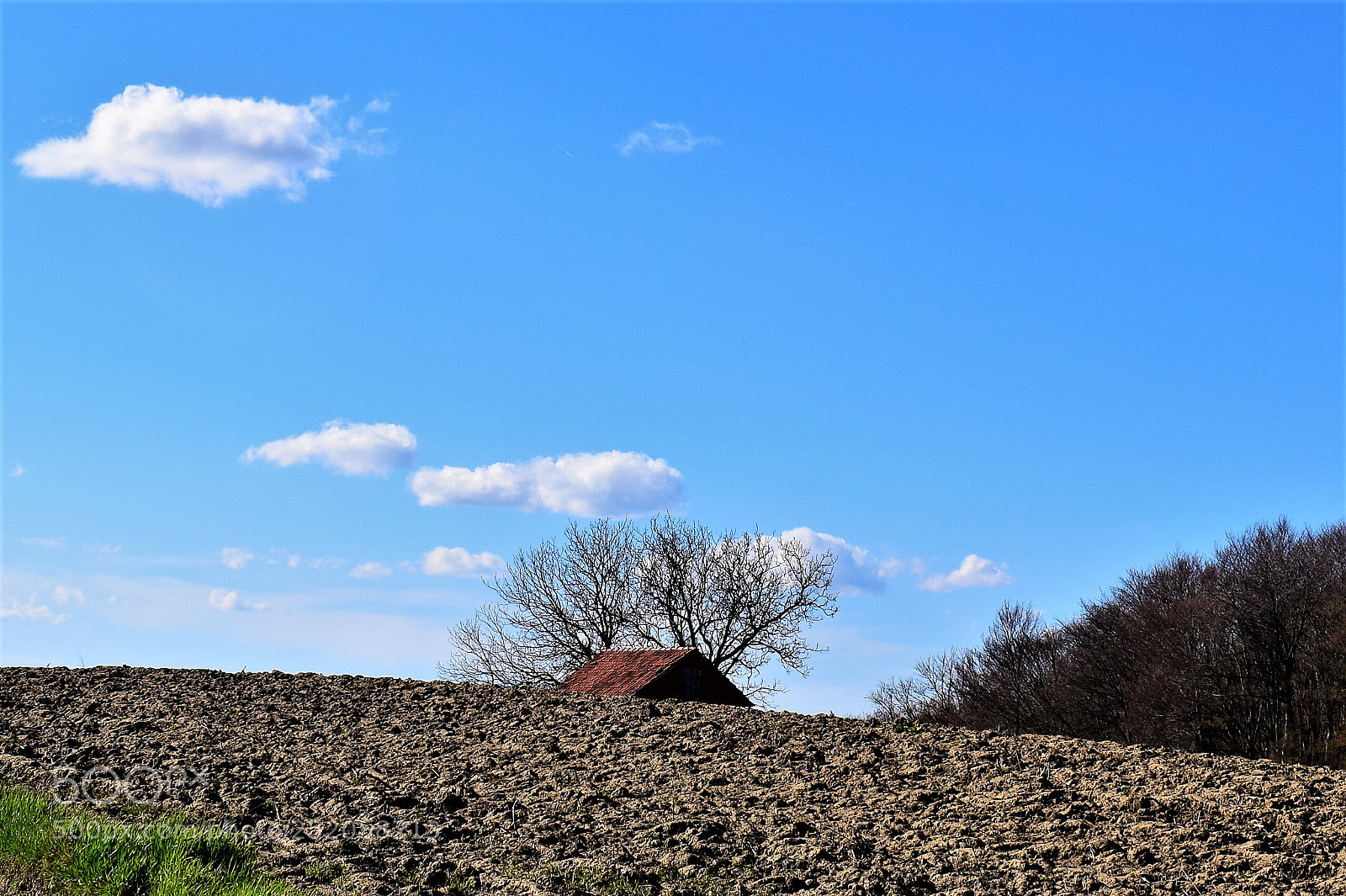 Nikon D3300 sample photo. Roof photography