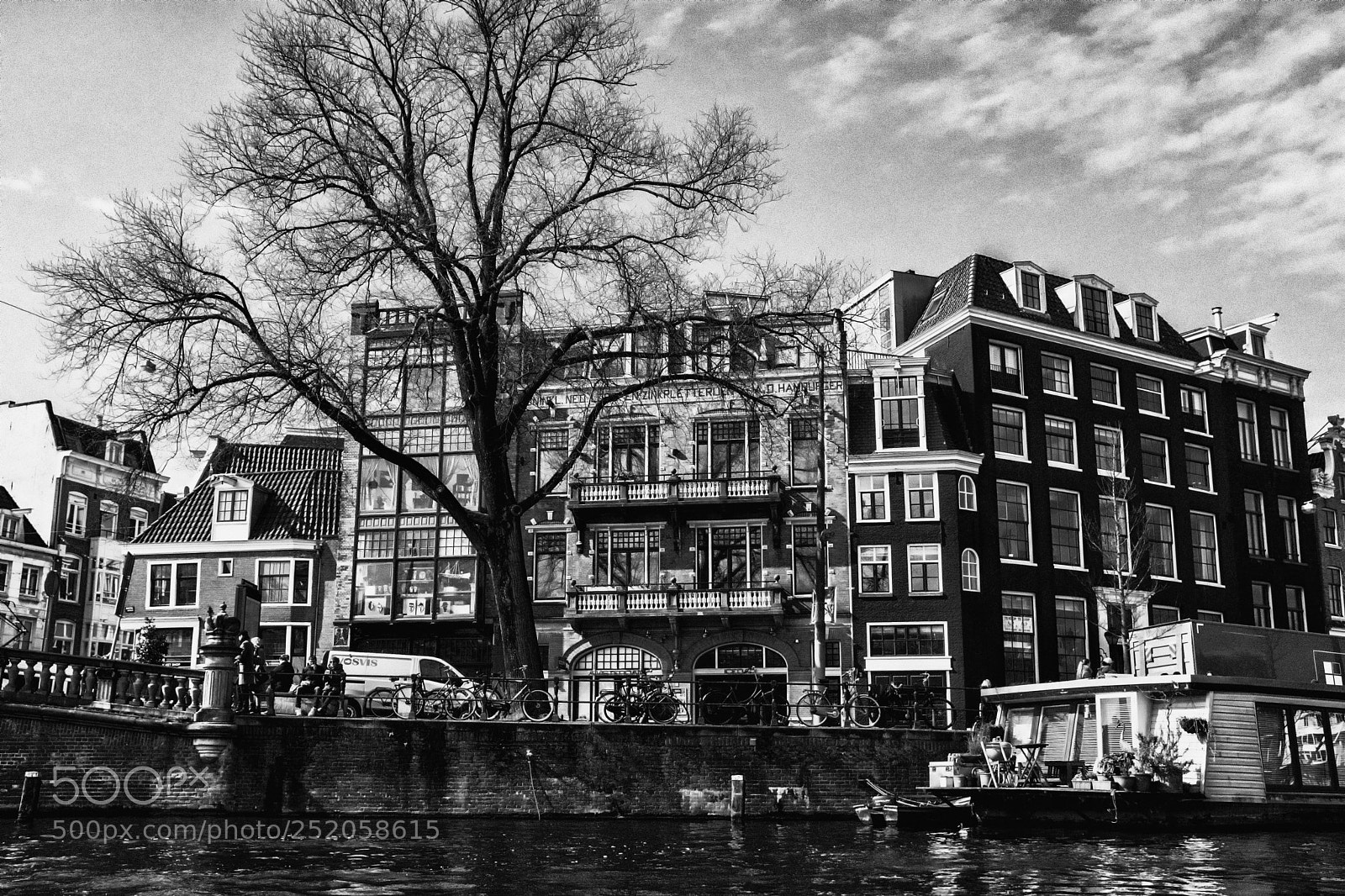 Fujifilm X100F sample photo. Baum an der gracht photography