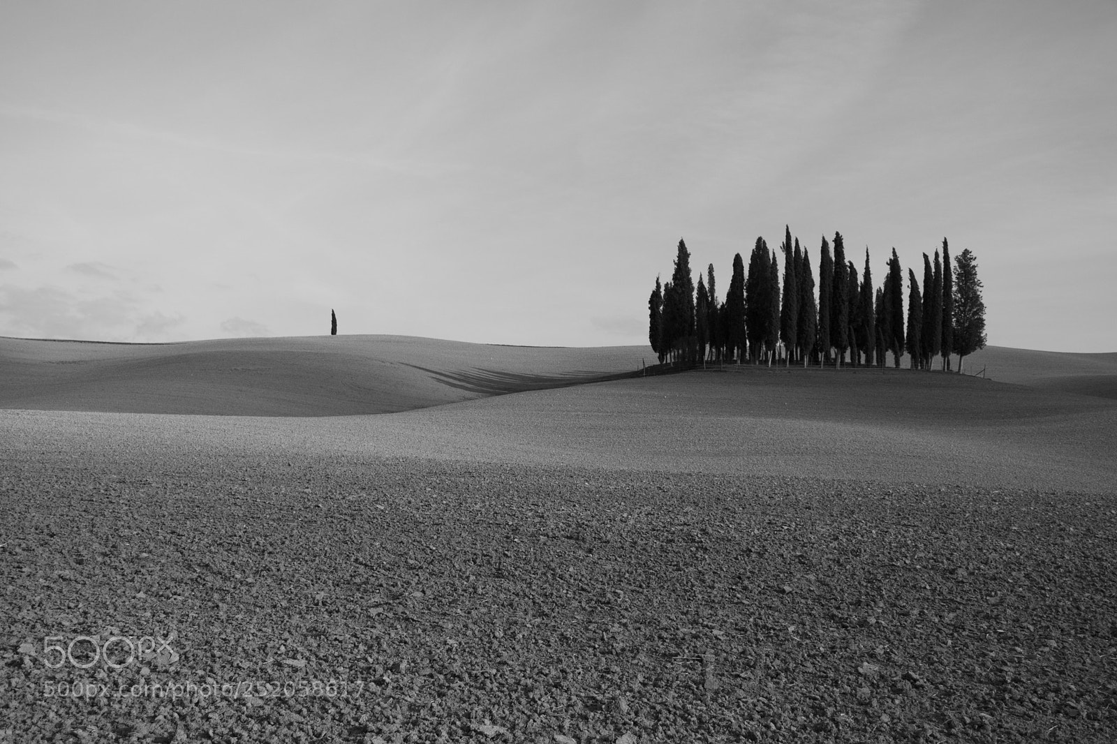 Nikon D7200 sample photo. Moon landascape & trees photography