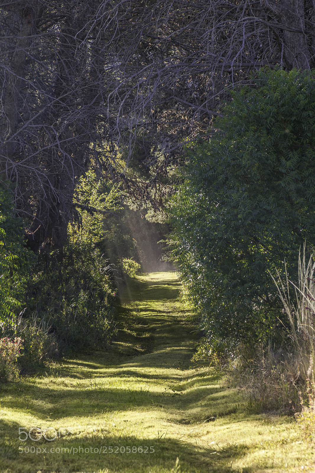 Canon EOS 60D sample photo. Portal to unknown place photography