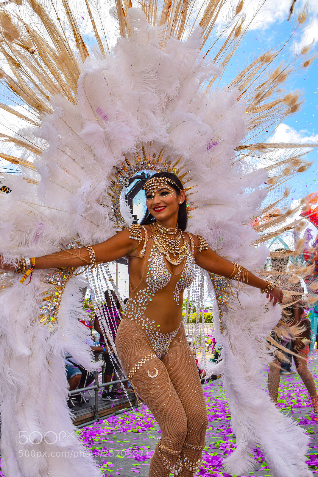 Nikon D3300 sample photo. Carnival tuesday p3 photography