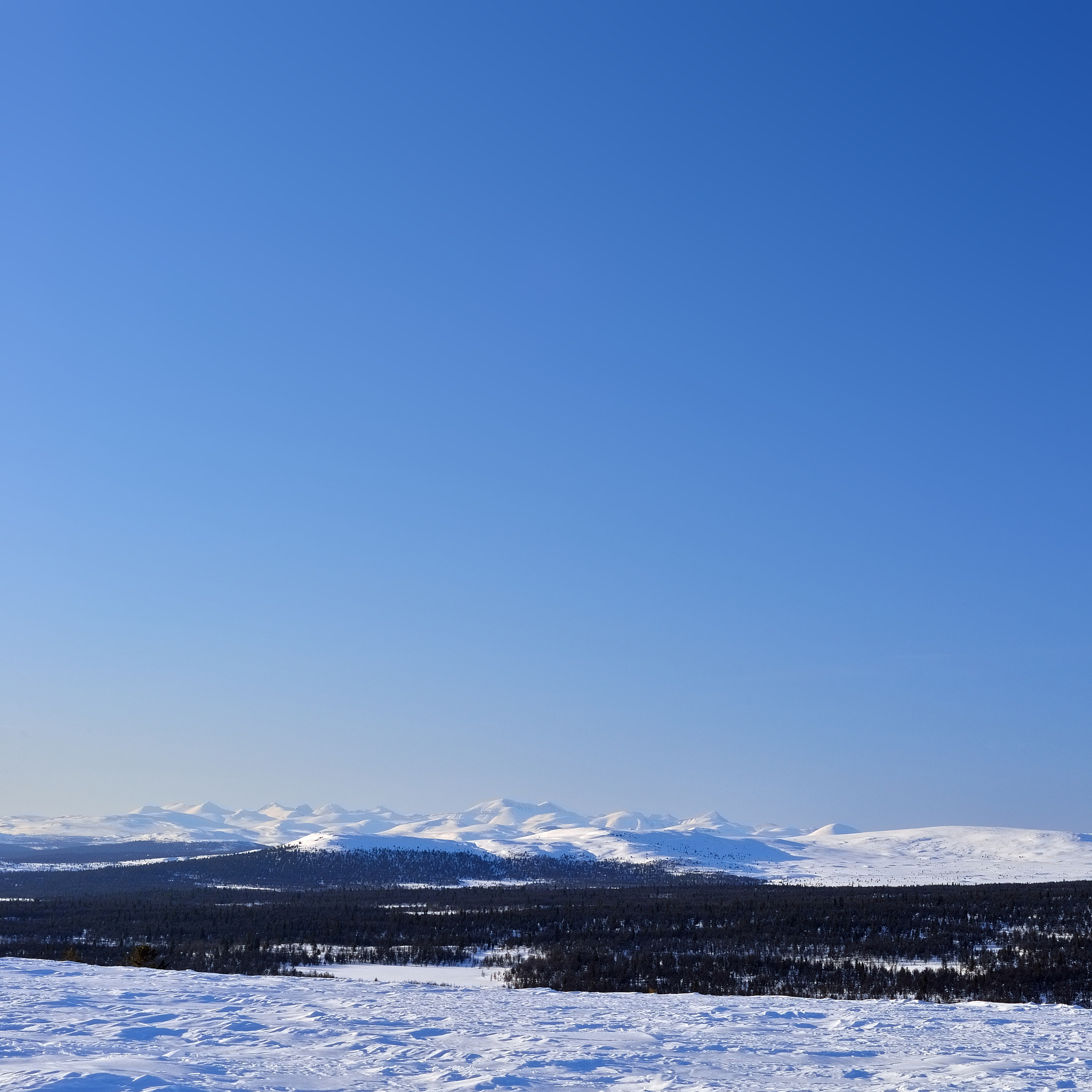 Nikon D610 + Nikon AF Nikkor 50mm F1.8D sample photo. Distant photography