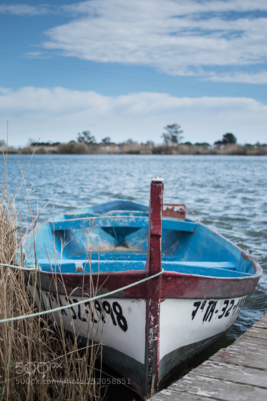 Nikon D5600 sample photo. Untitled photography