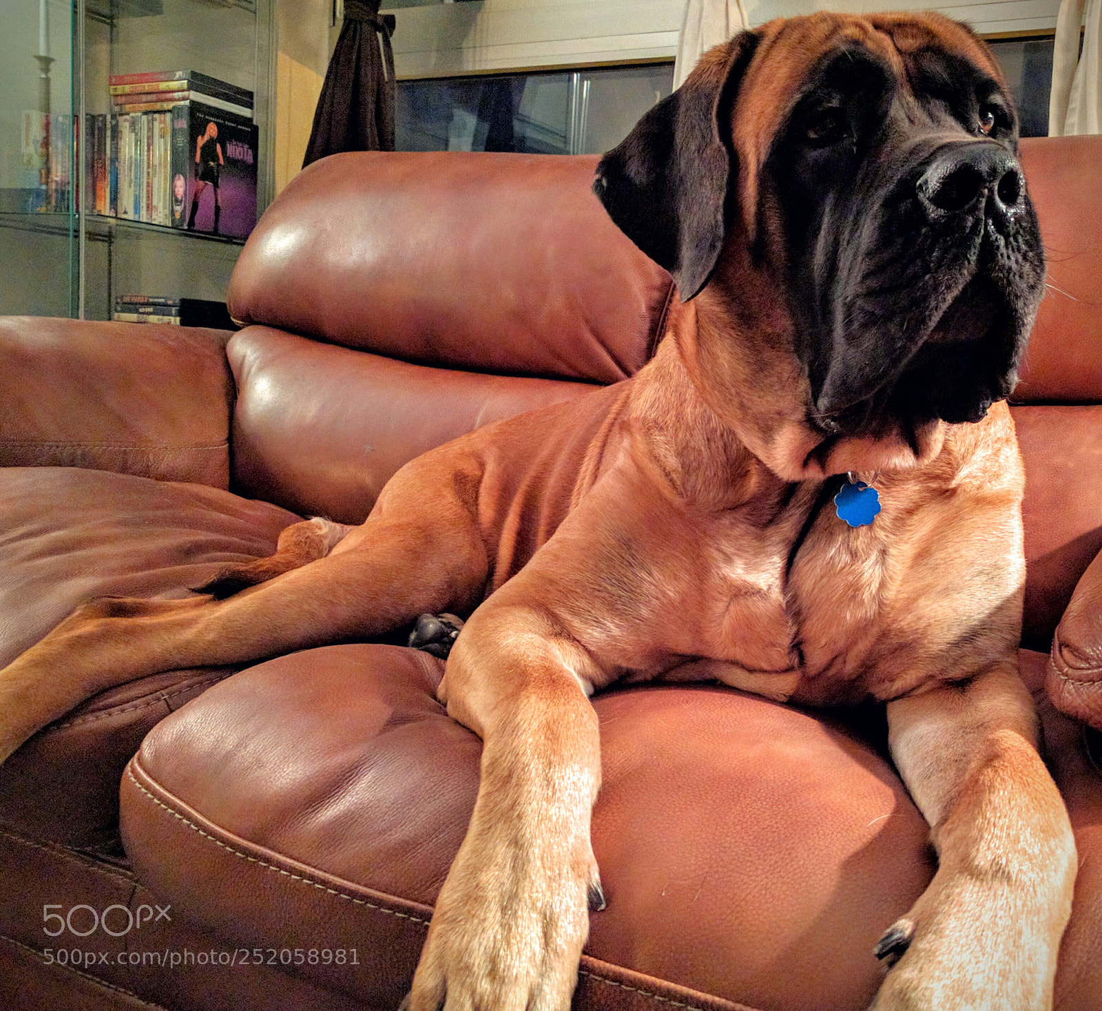 Google Nexus 6P sample photo. Img_20160630_213927.jpg photography