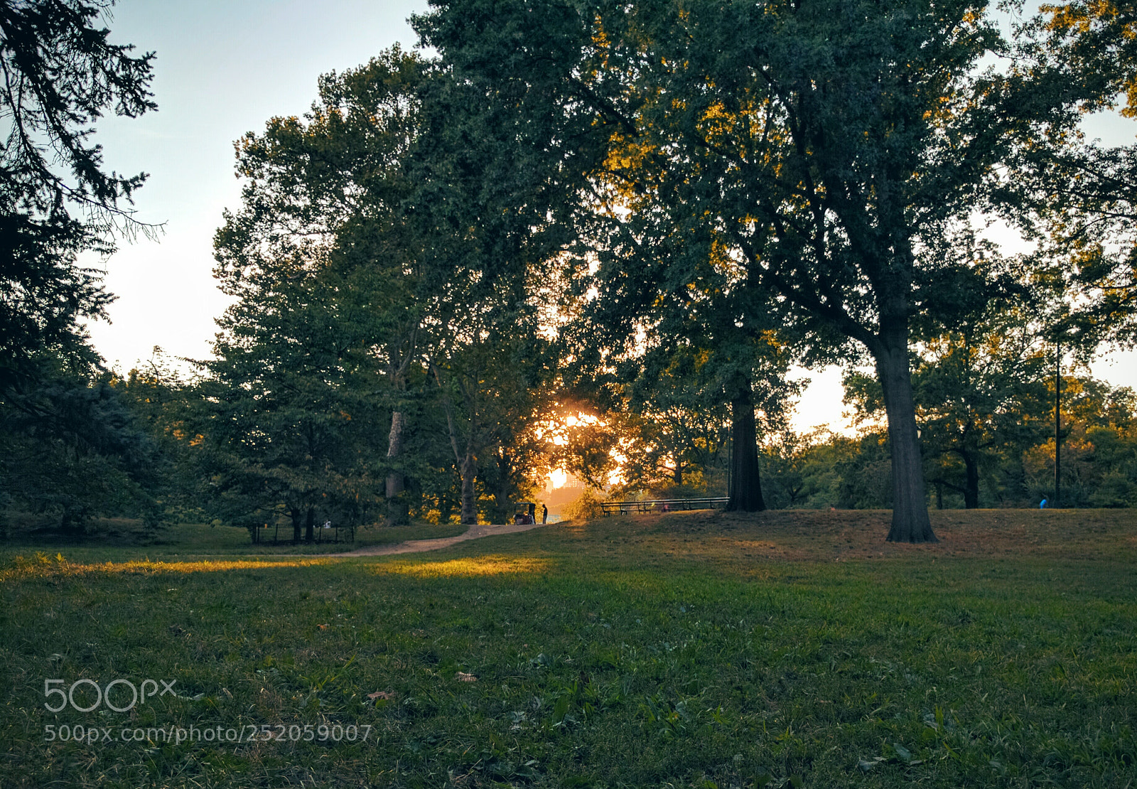 Google Nexus 6P sample photo. Sunset in the park photography