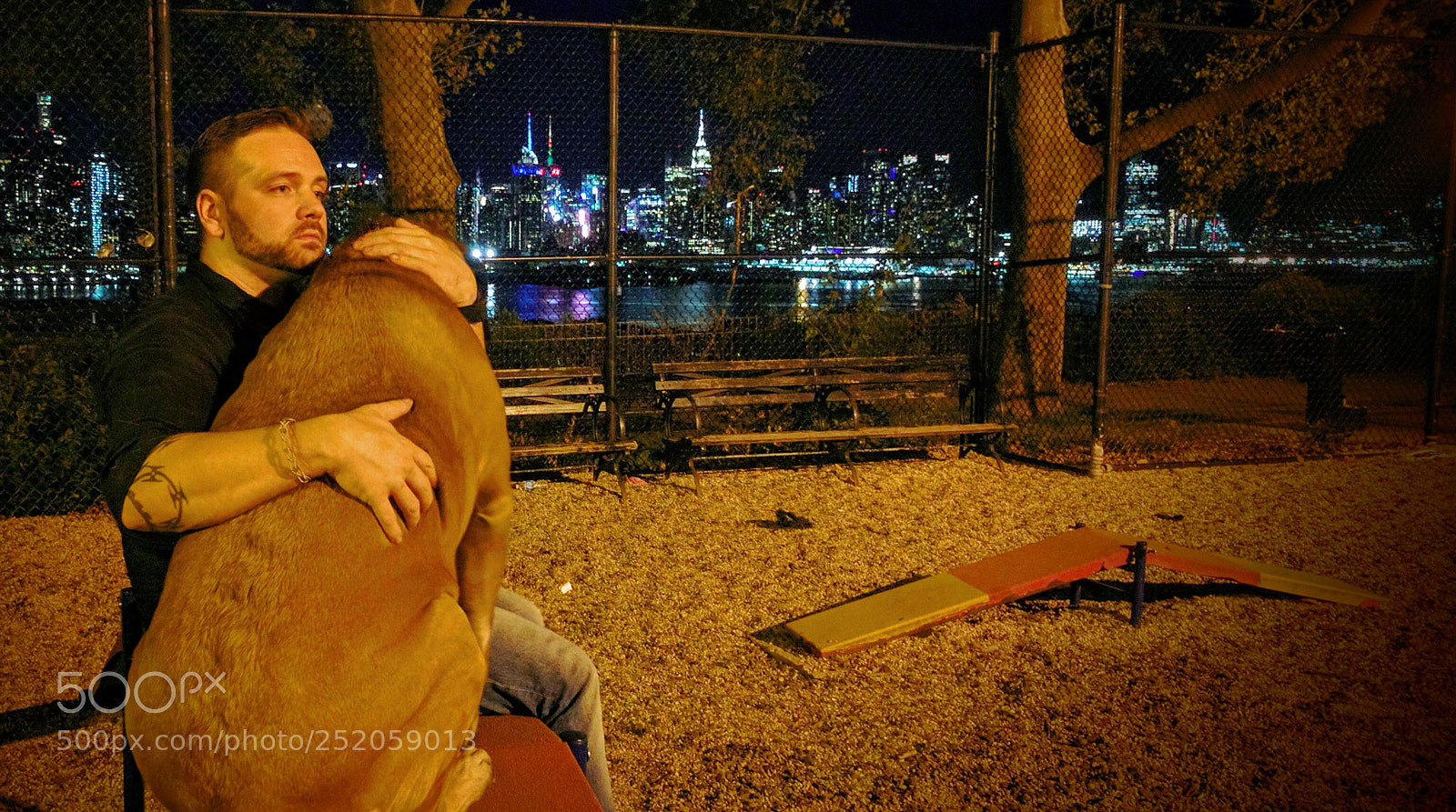 Google Nexus 6P sample photo. Man's best friend photography
