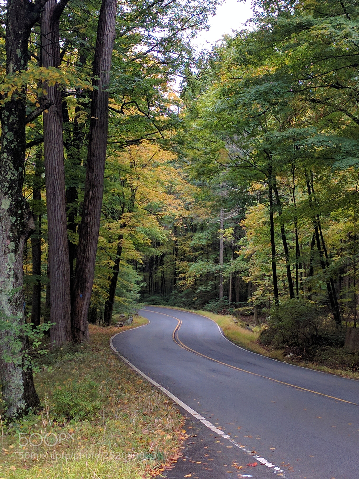 Google Nexus 6P sample photo. The winding road photography