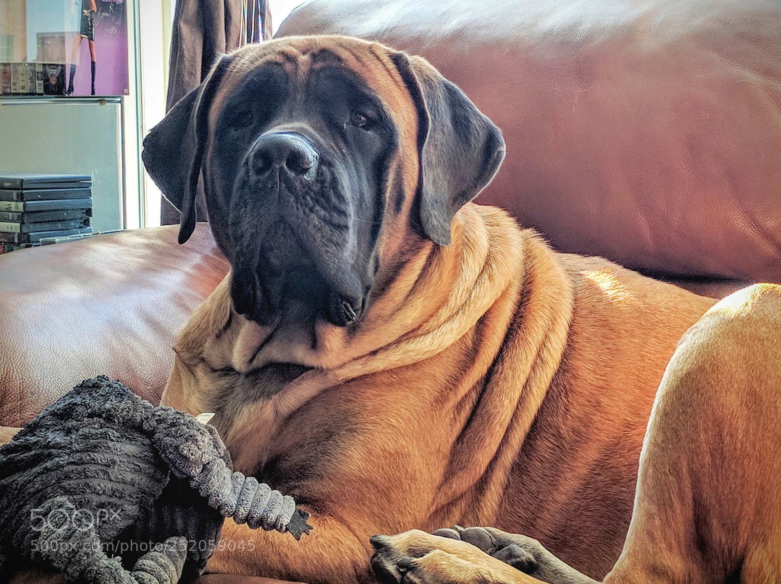 Google Nexus 6P sample photo. Img_20161113_103339.jpg photography