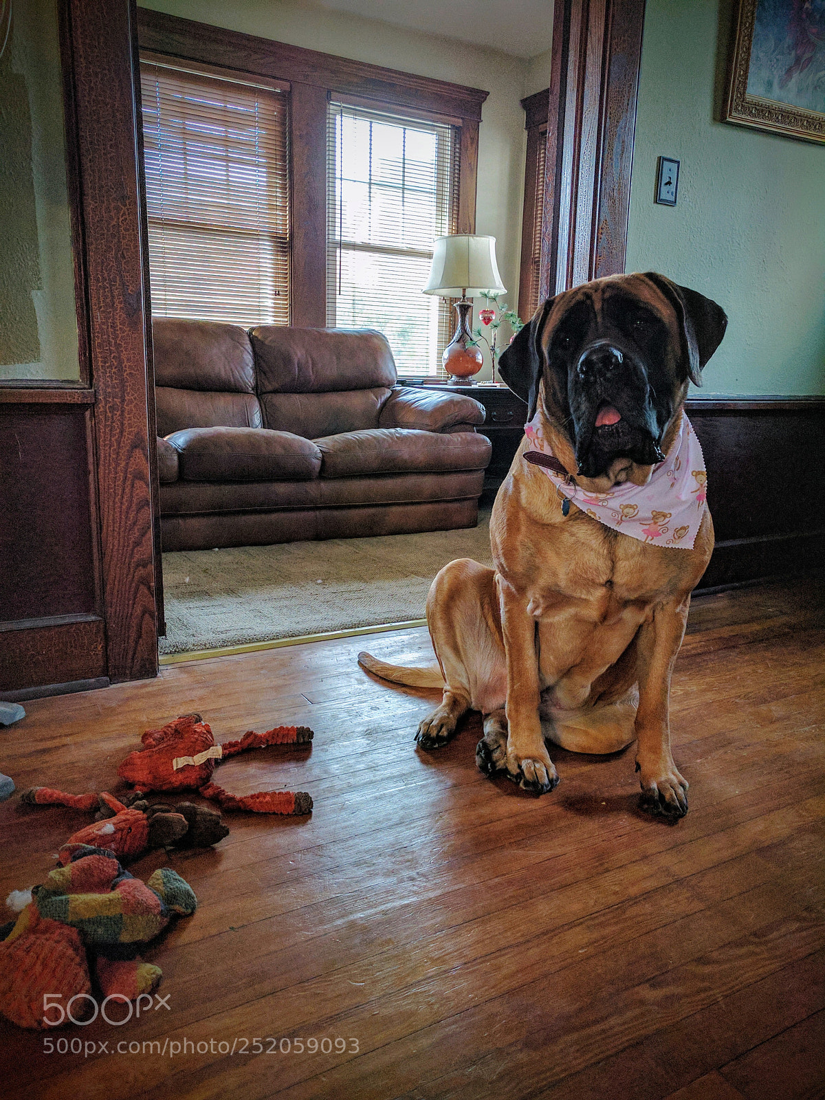 Google Nexus 6P sample photo. Img_20161231_125728.jpg photography