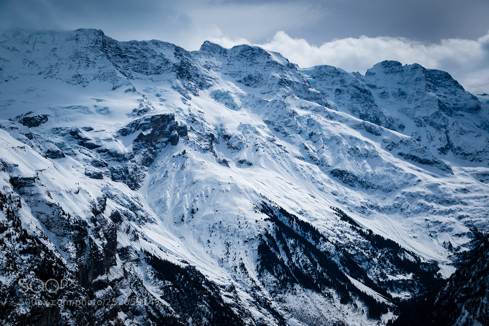 Nikon D5600 sample photo. Swiss alps photography