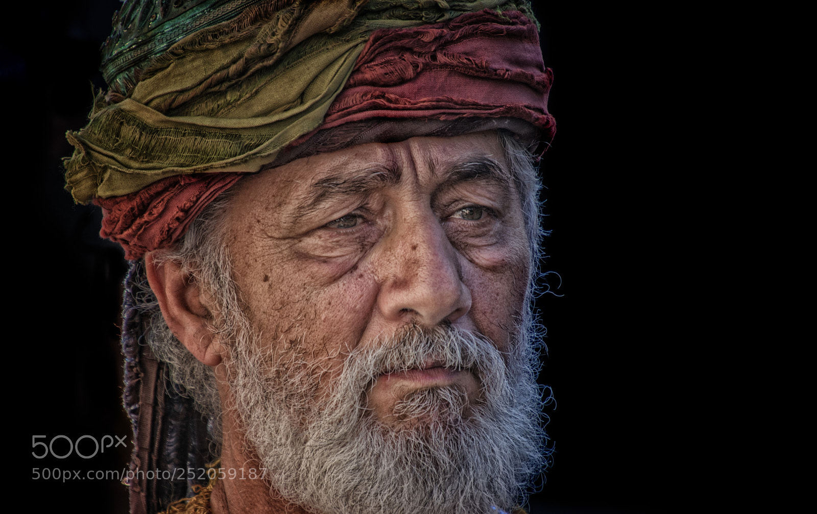 Canon EOS 80D sample photo. The signs of wisdom photography