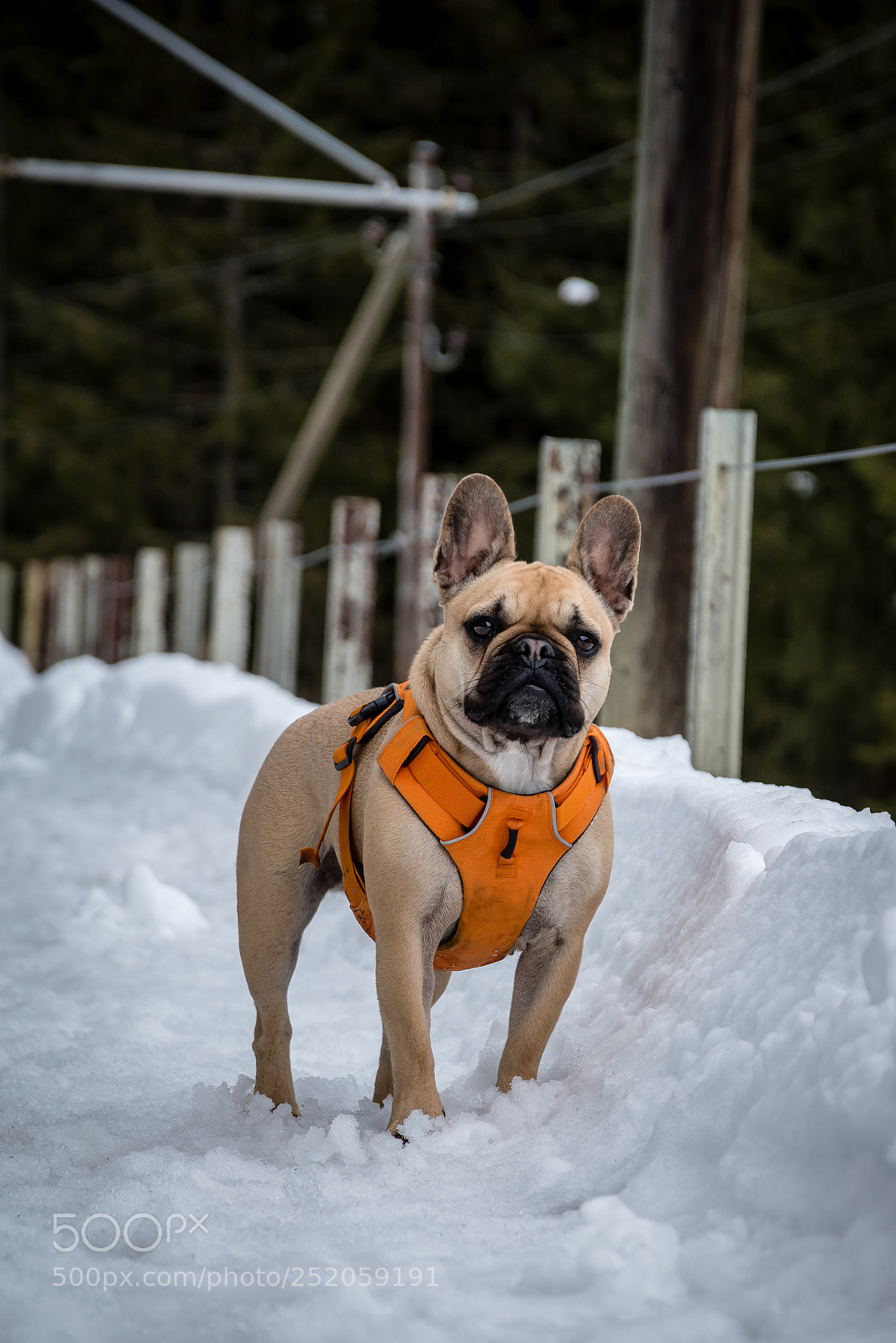 Nikon D5600 sample photo. Attention! photography
