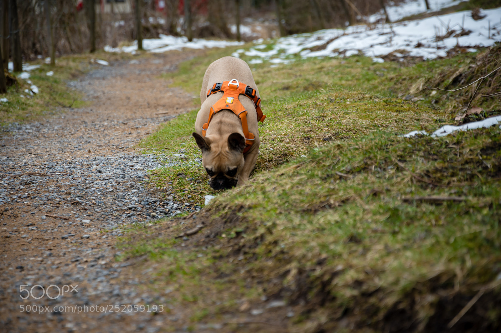 Nikon D5600 sample photo. Mmmmhhhhh smells good photography